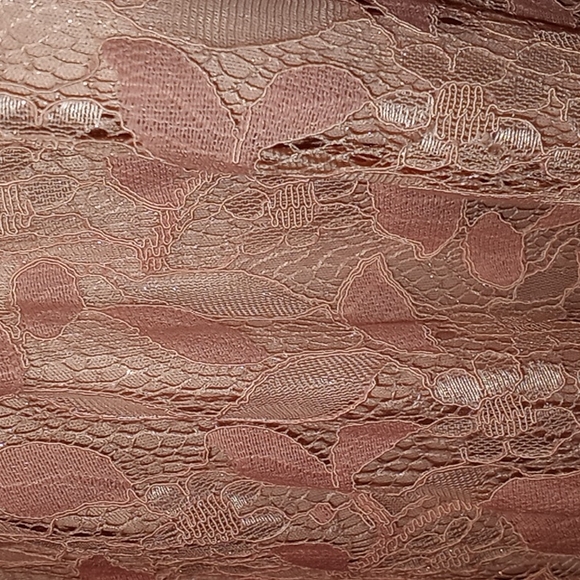 Blush Pink Lace Dress - Picture 8 of 12